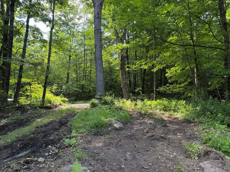 550 Kings Highway, Stoddard, NH 03464 - #2