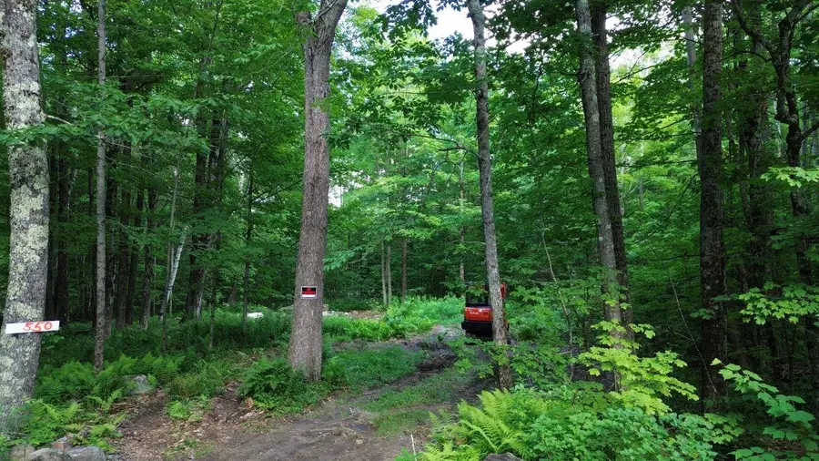 550 Kings Highway, Stoddard, NH 03464 - #3