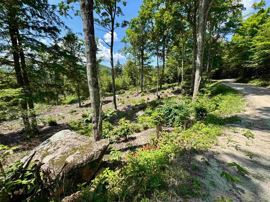 00 Annis Road, Groton, VT 05046 - #3