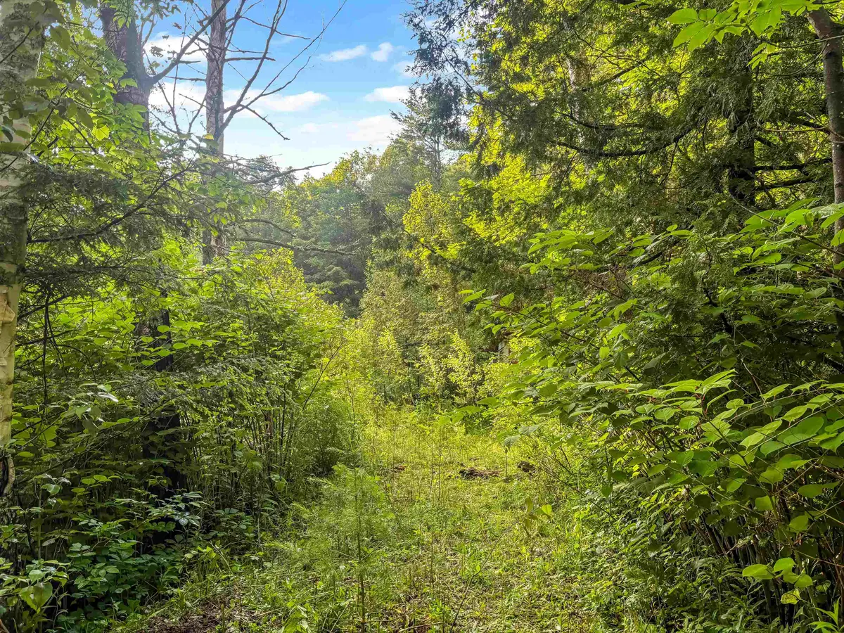 91 Dam Road, Chittenden, VT 05701 - #1