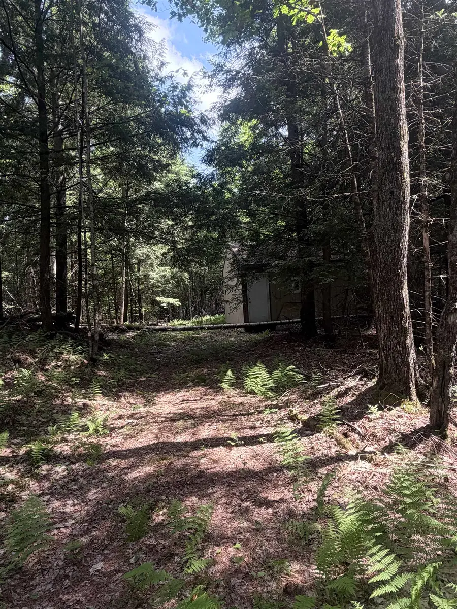 Whitcher Road, Newport, NH 03773 - #2