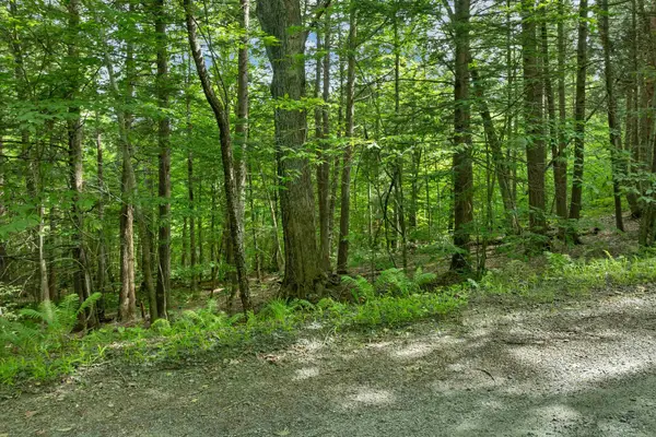 0 Safford Road, Hartford, VT 05059