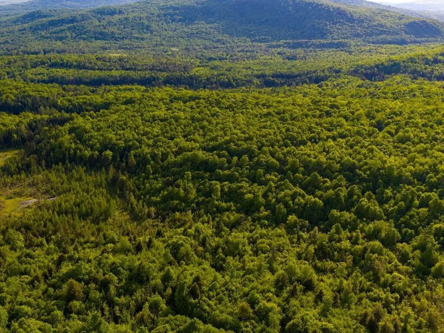 3180 Bear Hill Road, Guildhall, VT 05905 - #2