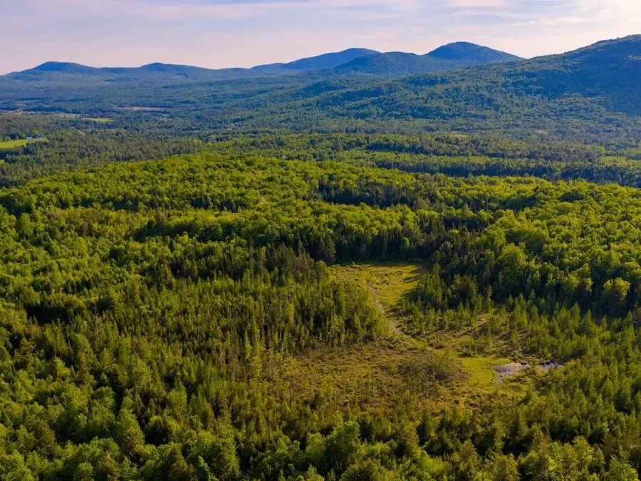 3180 Bear Hill Road, Guildhall, VT 05905 - #3