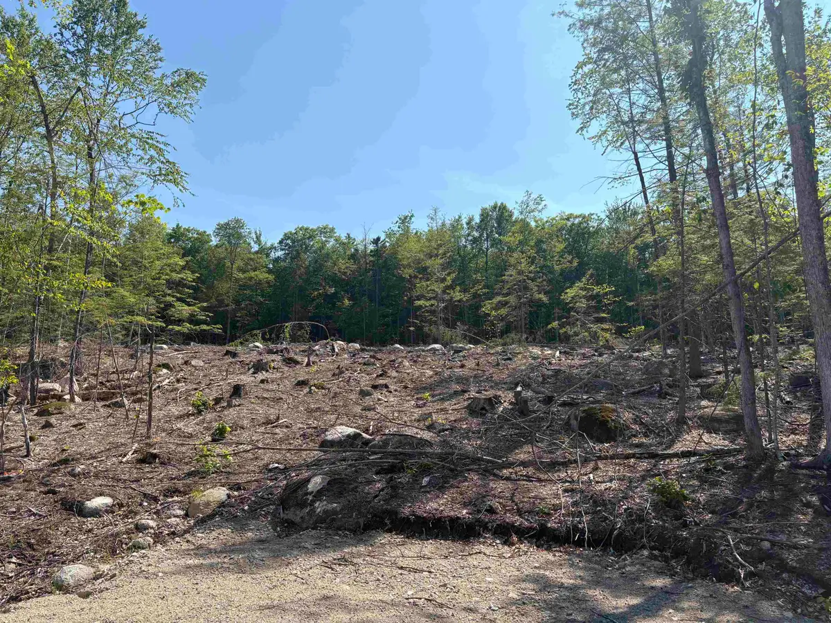 10 Sugarloaf Drive #11, Ossipee, NH 03814 - #1