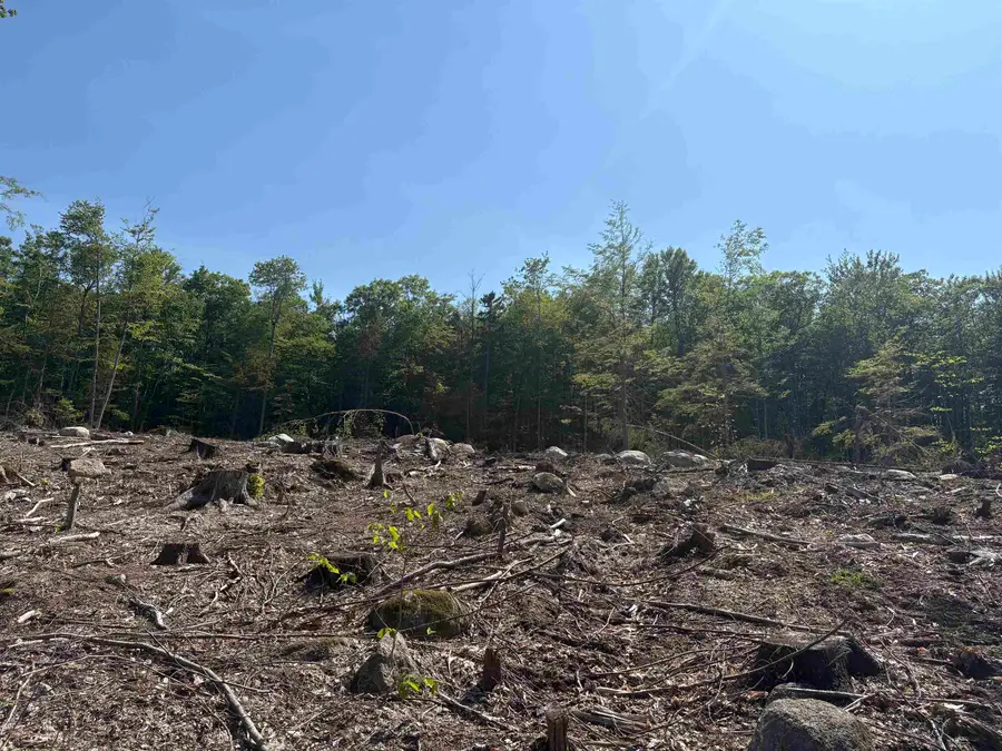 10 Sugarloaf Drive #11, Ossipee, NH 03814 - #2