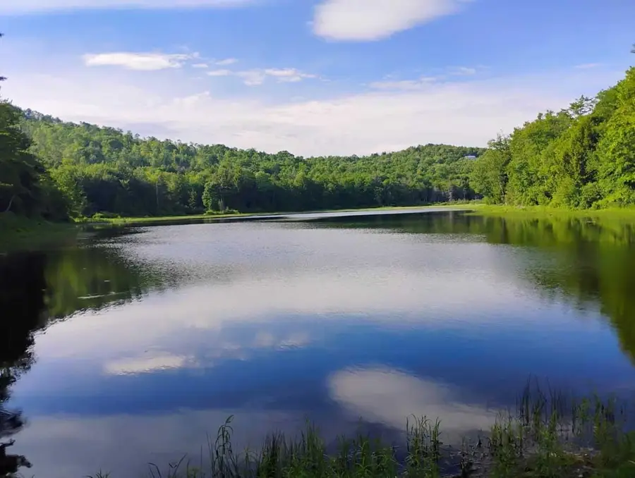 124 Brock Hill Road, Bridgewater, NH 03222 - #3