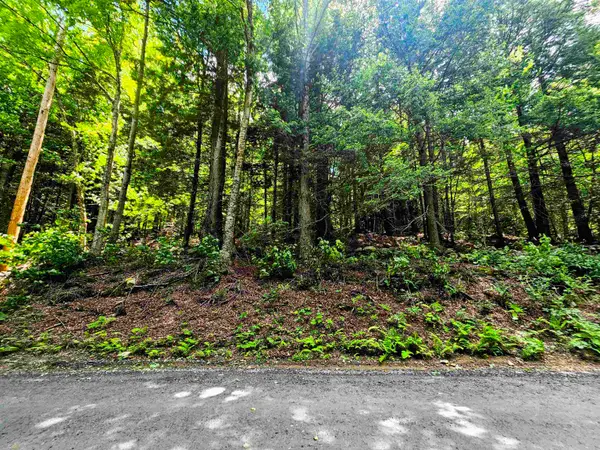 Smead Road, Wardsboro, VT 05355