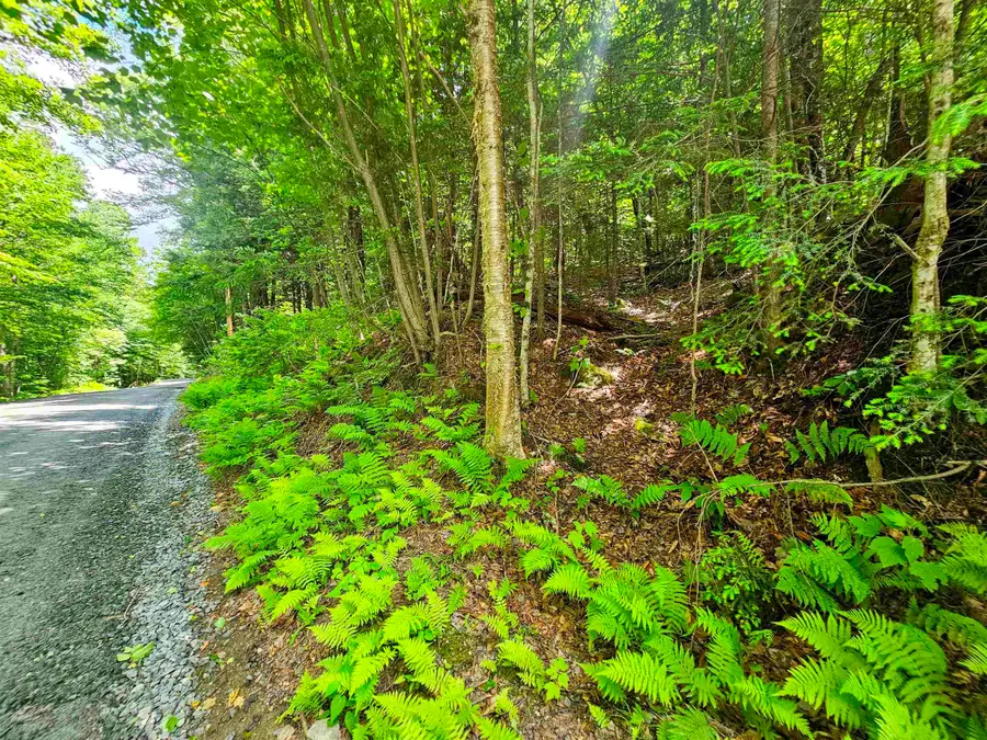 Smead Road, Wardsboro, VT 05355 - #2