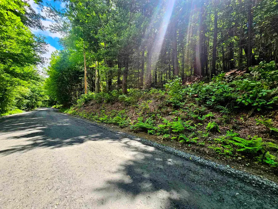 Smead Road, Wardsboro, VT 05355 - #3