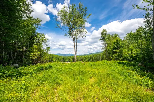 00 Little Pond Road, Andover, VT 05143