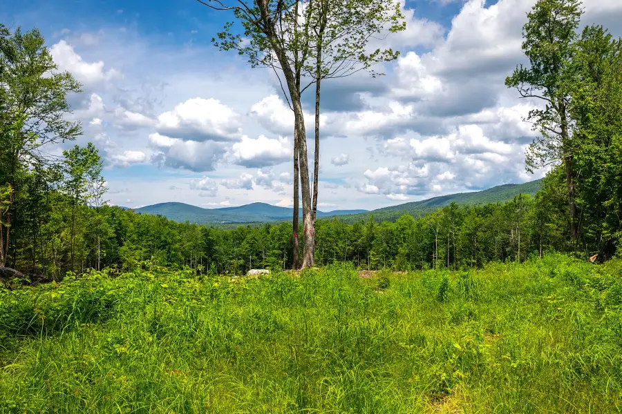 00 Little Pond Road, Andover, VT 05143 - #2