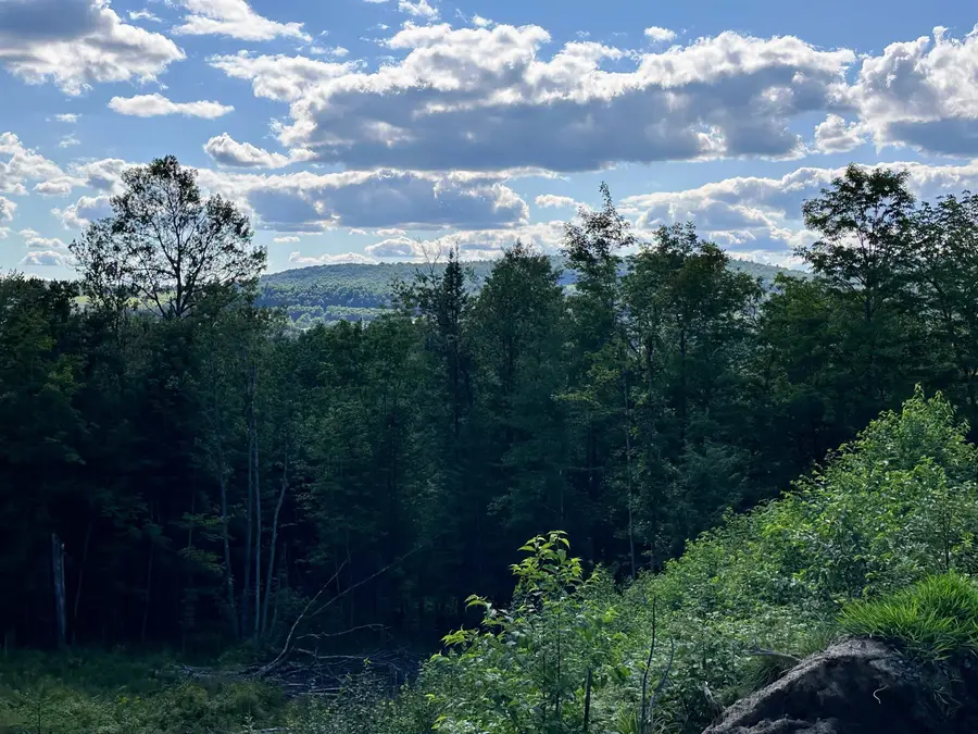 702 Mount Pisgah Road, Saint Johnsbury, VT 05819-0615 - #3