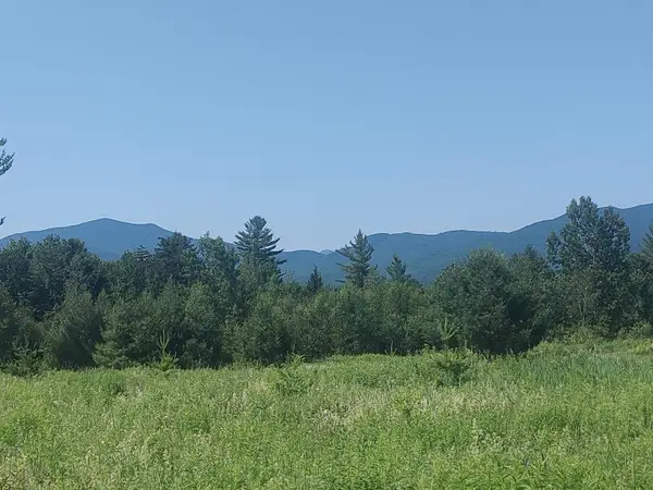 0 Plot Road #3, Johnson, VT 05656