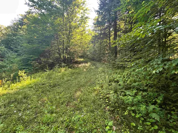 0 Rose Lane #Lot, Londonderry, VT 05148