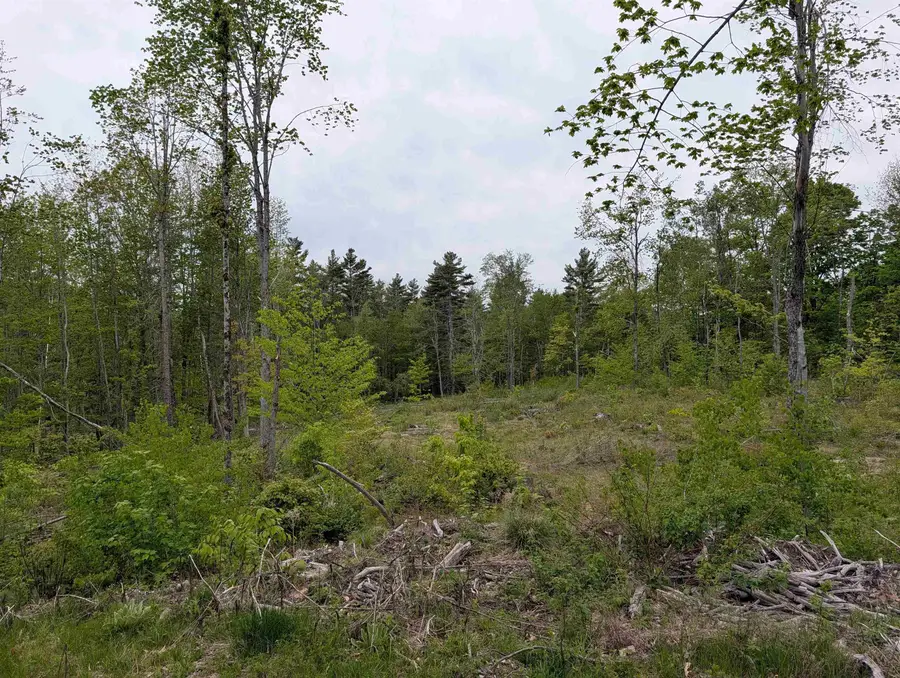 367 Height of Land Road, Grafton, NH 03740 - #3