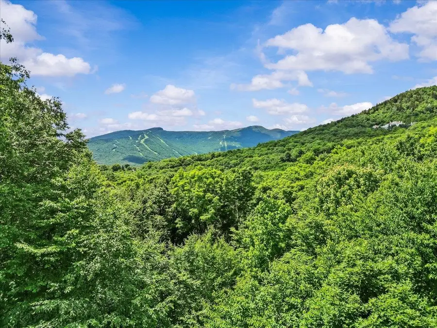 269 Billings Hill Road, Stowe, VT 05672 - #2