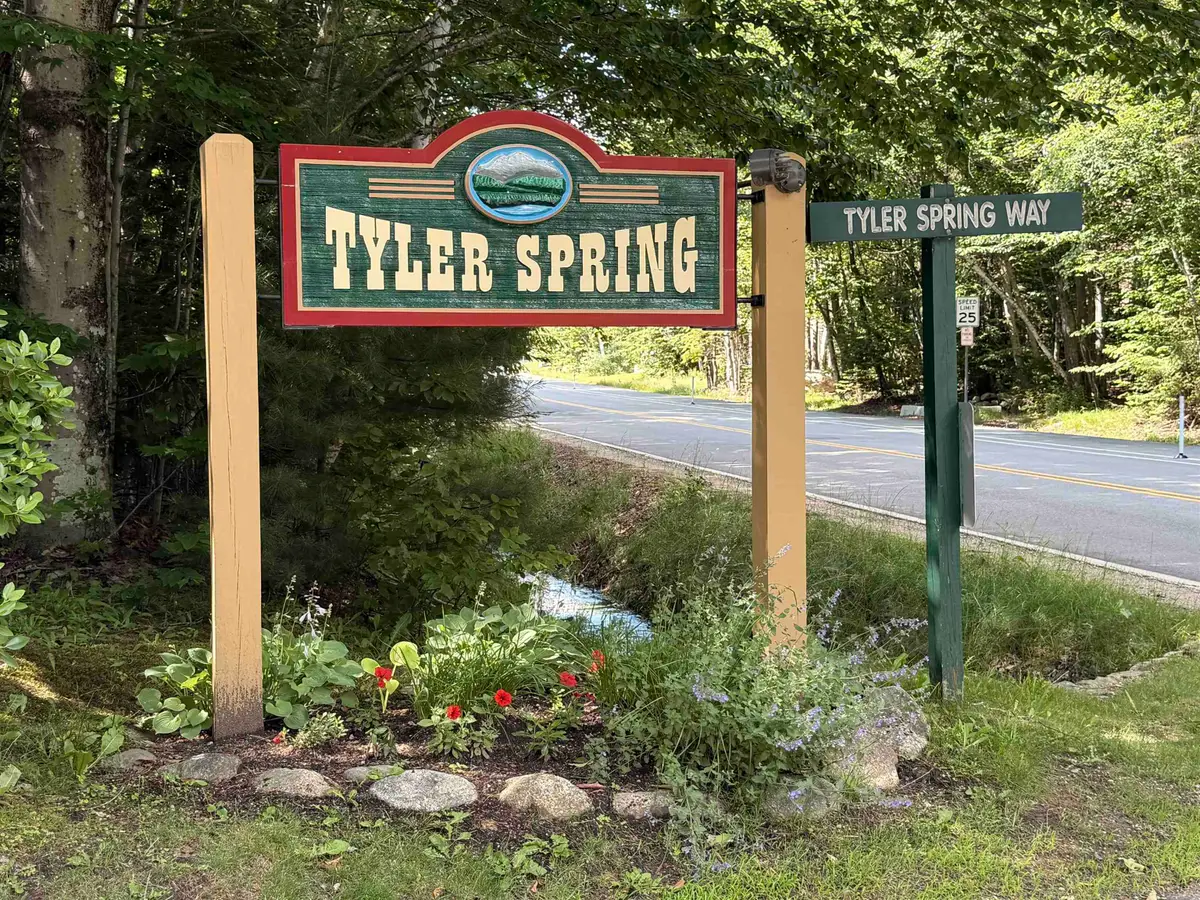 28 Tyler Spring Way #21, Waterville Valley, NH 03215 - #1