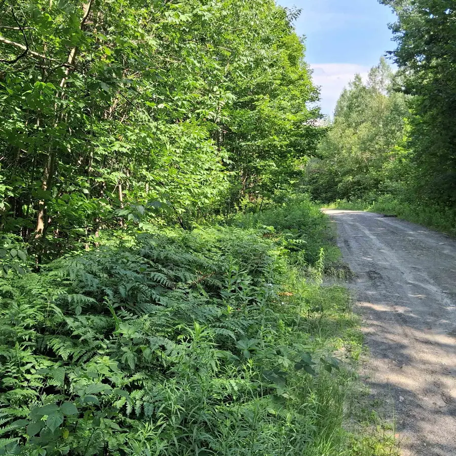 Lot 4 Ballground Road, Westfield, VT 05874 - #2