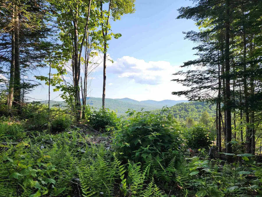 Lot 13 Ginnie Lane, Errol, NH 03579 - #3