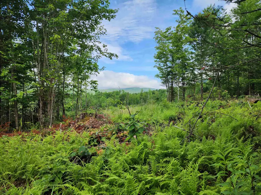 Lot 15 Ginnie Lane #R020-0010-0015, Errol, NH 03579 - #2