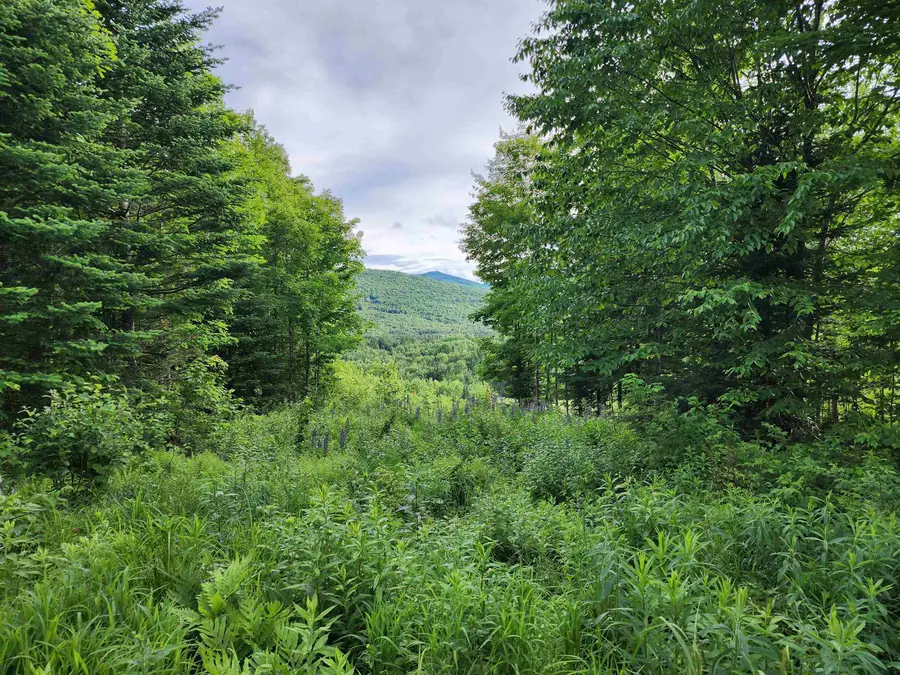 Lot 15 Ginnie Lane #R020-0010-0015, Errol, NH 03579 - #3
