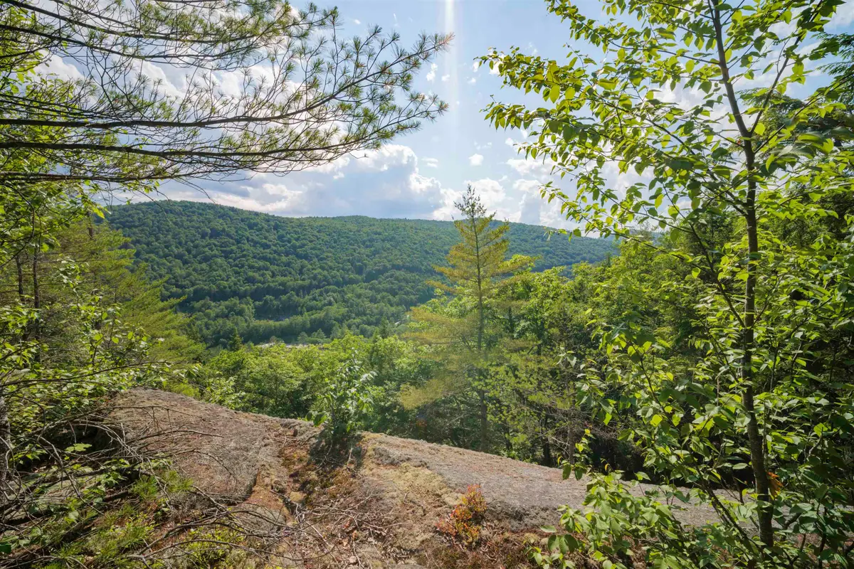 00 Howe Farm Road, Jamaica, VT 05343 - #1
