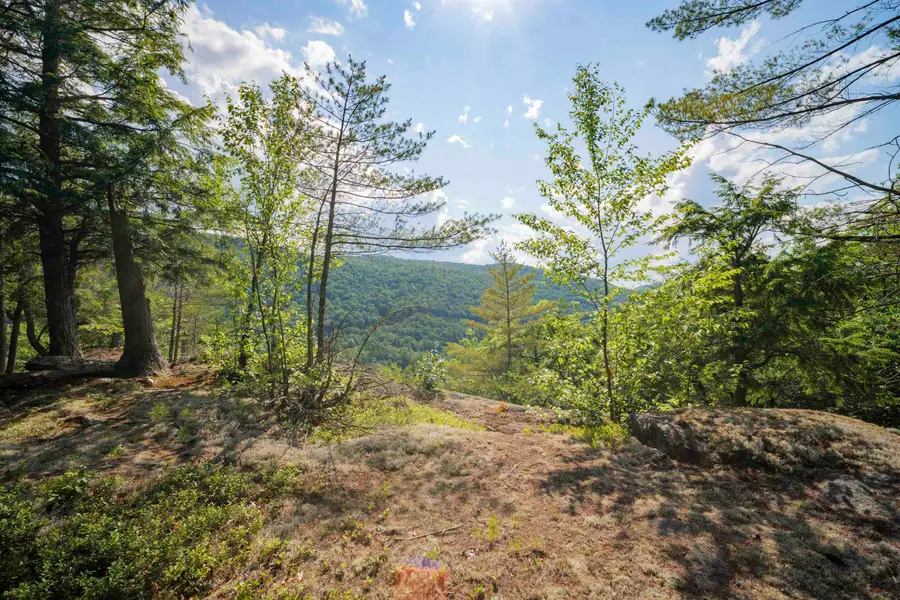 00 Howe Farm Road, Jamaica, VT 05343 - #2