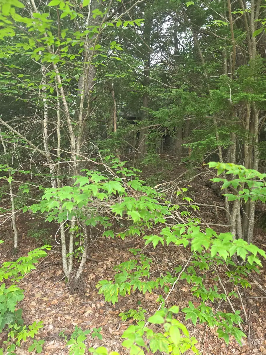 113 BELL VALLEY Road, Campton, NH 03223 - #3