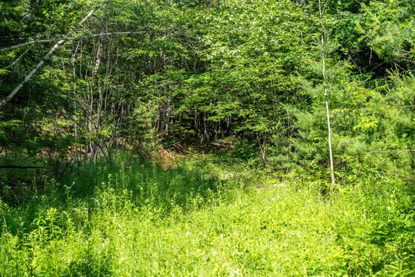 Lot 4.2 Tommy Lot Road, Moultonborough, NH 03254
