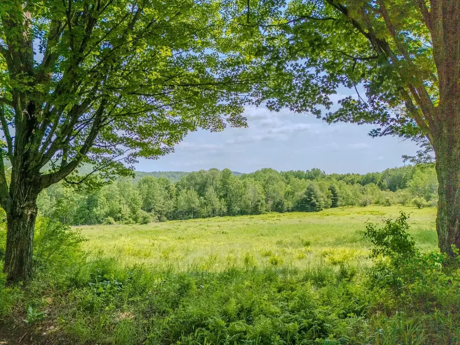 442 Josh Road, Halifax, VT 05358 - #3