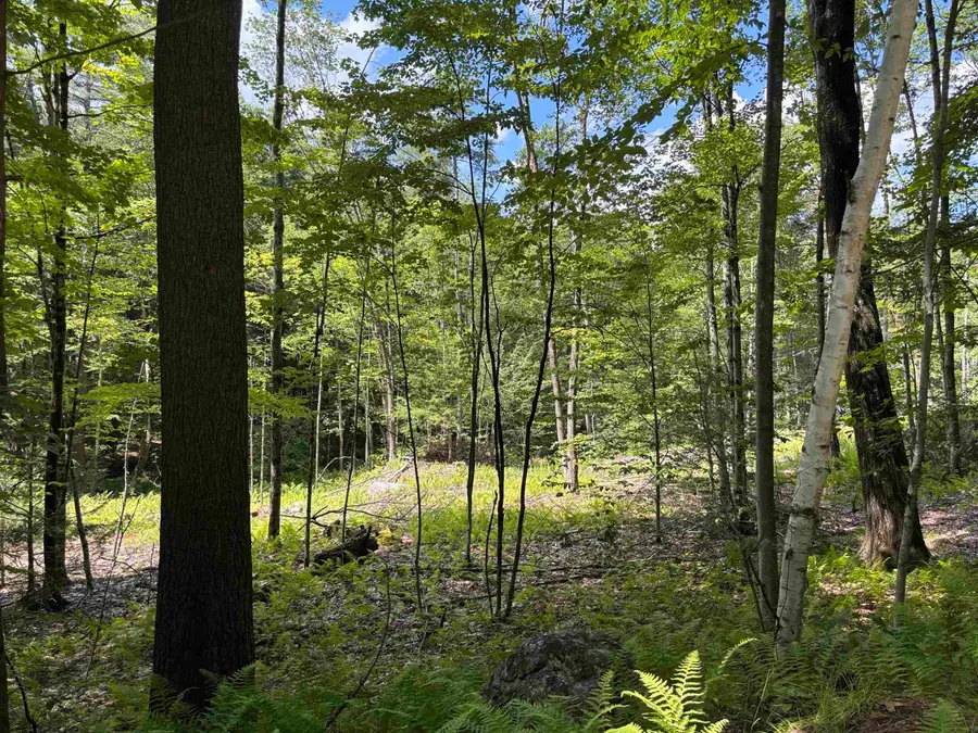 Lot 1&2 Tower Hill Road, Hinsdale, NH 03451 - #3