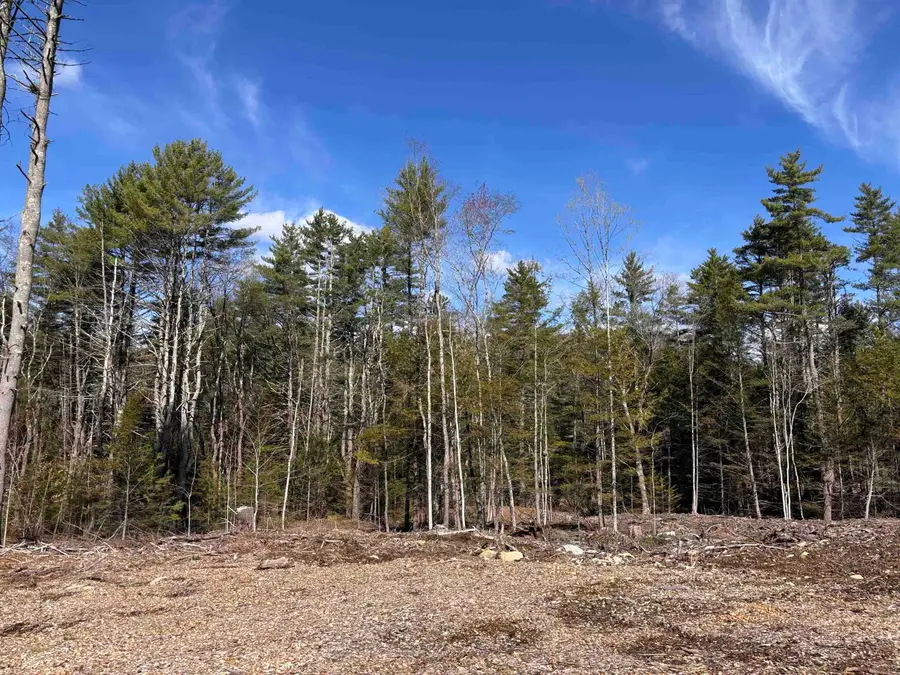 L:64 & 65 Old Turnpike Road, Richmond, NH 03470 - #3