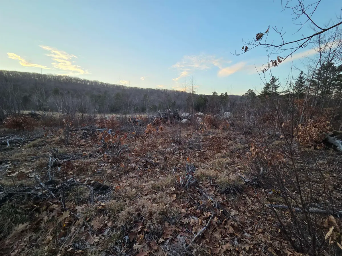 672-5 Bog Road #Lot 5, Enfield, NH 03748 - #1