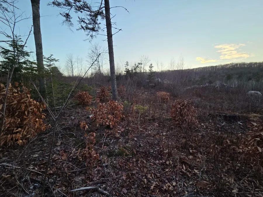 672-5 Bog Road #Lot 5, Enfield, NH 03748 - #2