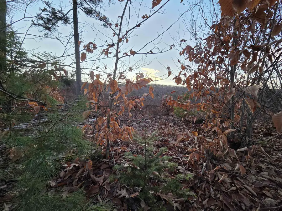 672-5 Bog Road #Lot 5, Enfield, NH 03748 - #3