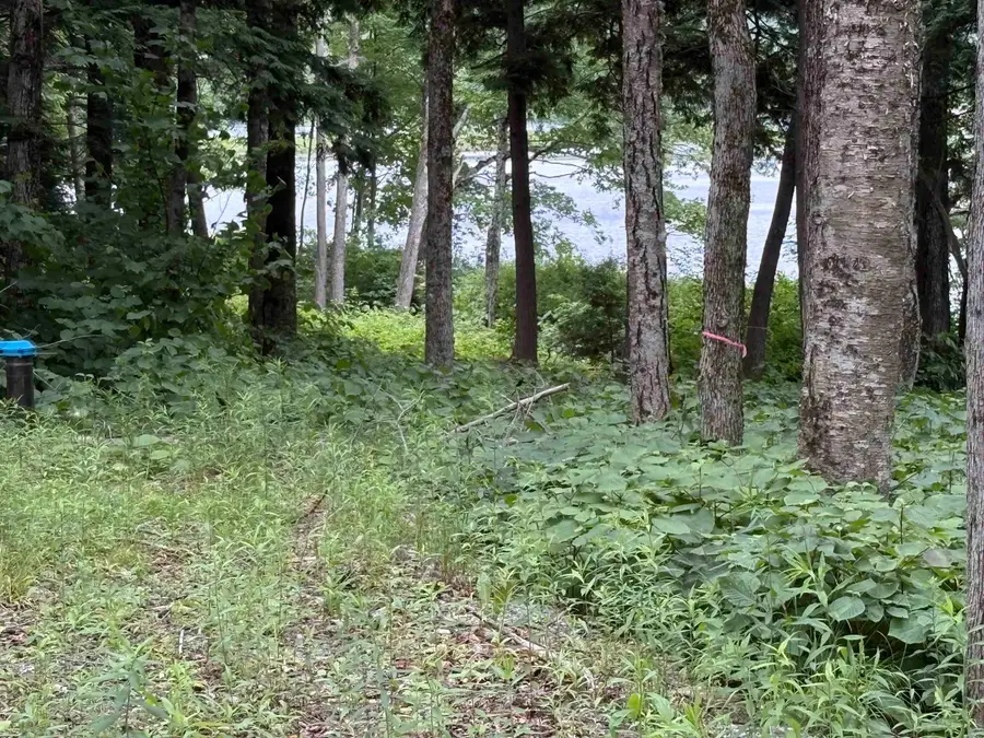 340 Tyanoga  Lot X Road, Whitingham, VT 05361 - #2