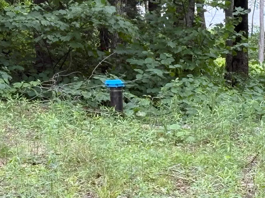 340 Tyanoga  Lot X Road, Whitingham, VT 05361 - #3