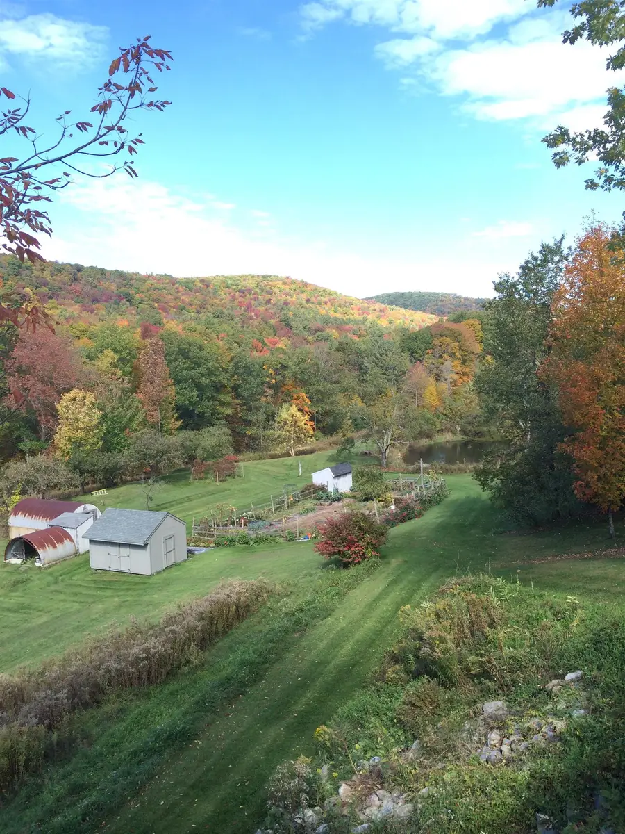 289 Lamb Hill Road, Wells, VT 05774 - #3