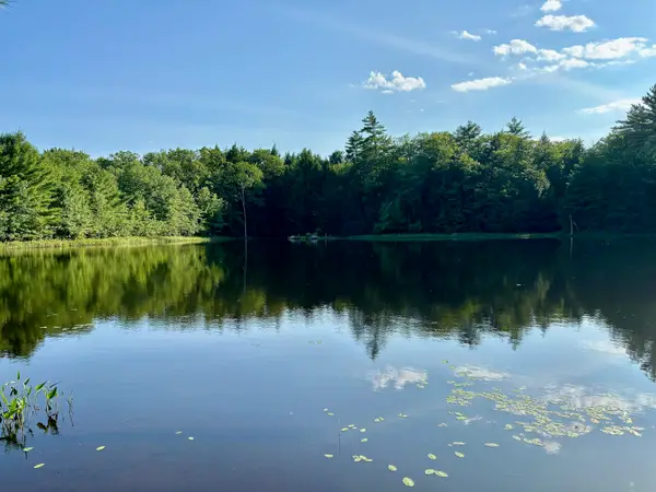 307 Burnt Hill Road, Warner, NH 03278