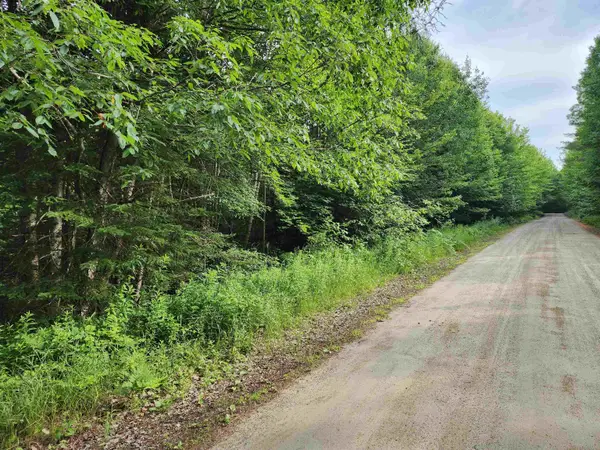 Lot 3 North Mountain Pond Road #R11/2-1, Errol, NH 03579