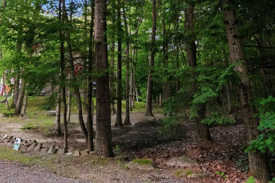 55 Mountain View Drive, Moultonborough, NH 03253 - #2