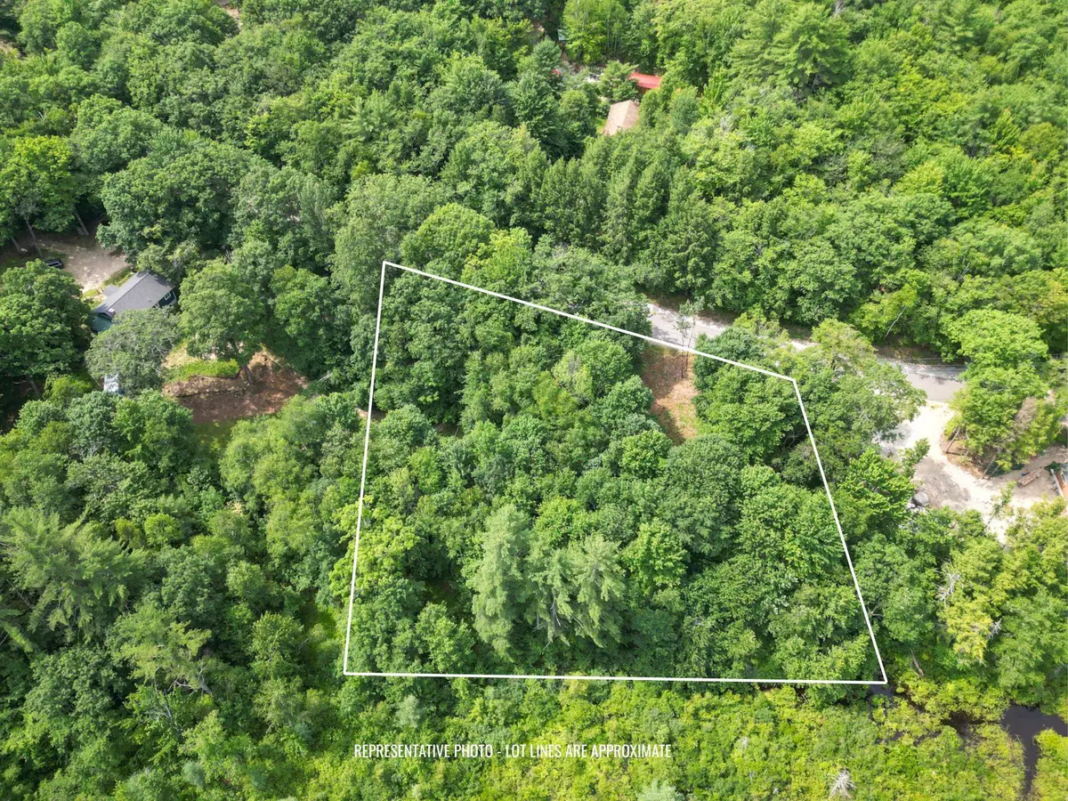 Map 401 Lot 18. Washington Hill Road, Silver Lake, NH 03817 - #1