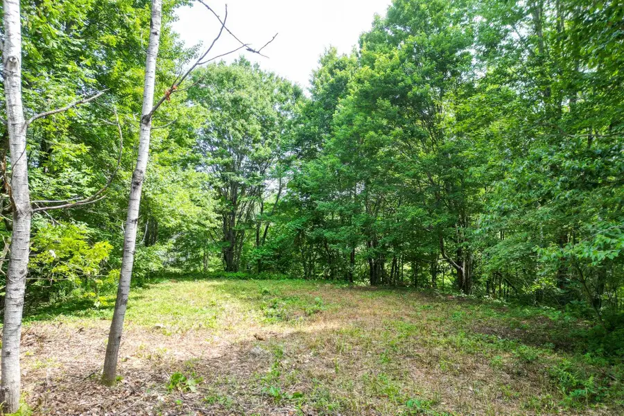 Map 401 Lot 18. Washington Hill Road, Silver Lake, NH 03817 - #3