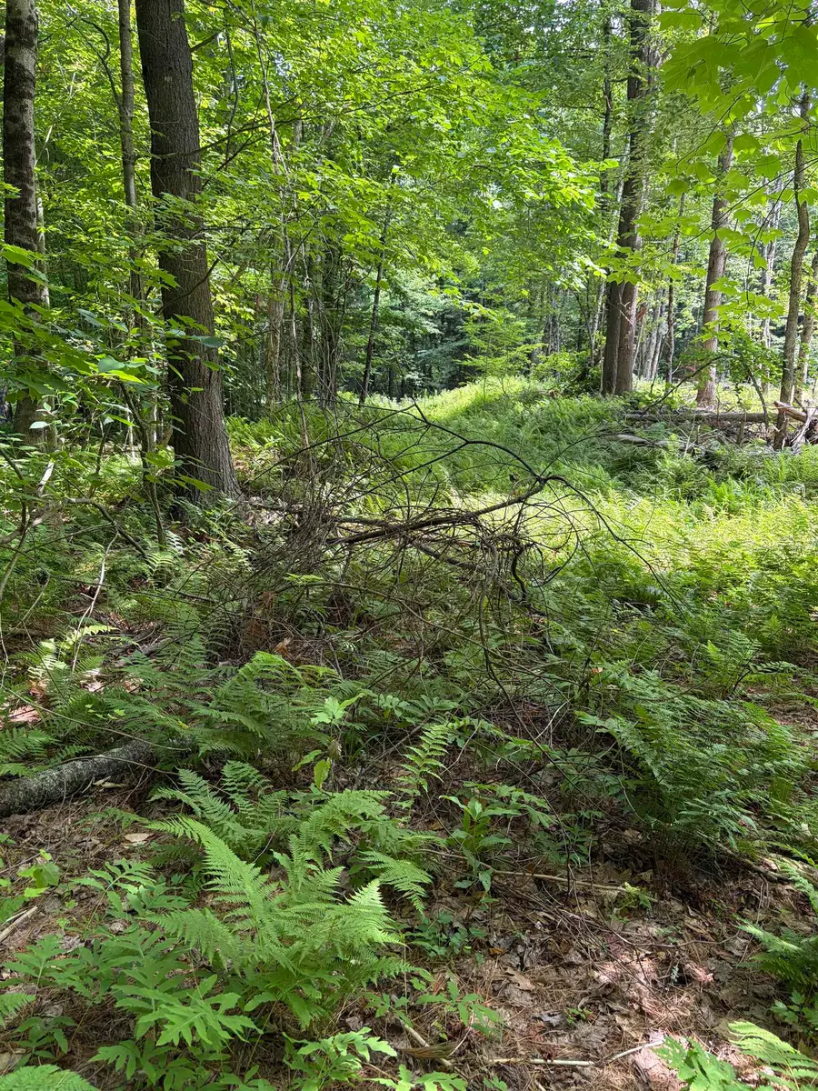100 Ledge Road, Lisbon, NH 03585 - #3