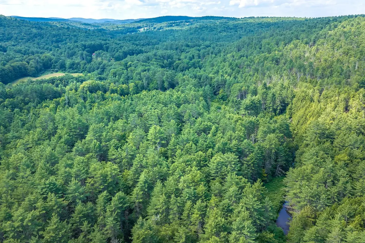 40 E Putney Brook Road, Putney, VT 05346 - #1
