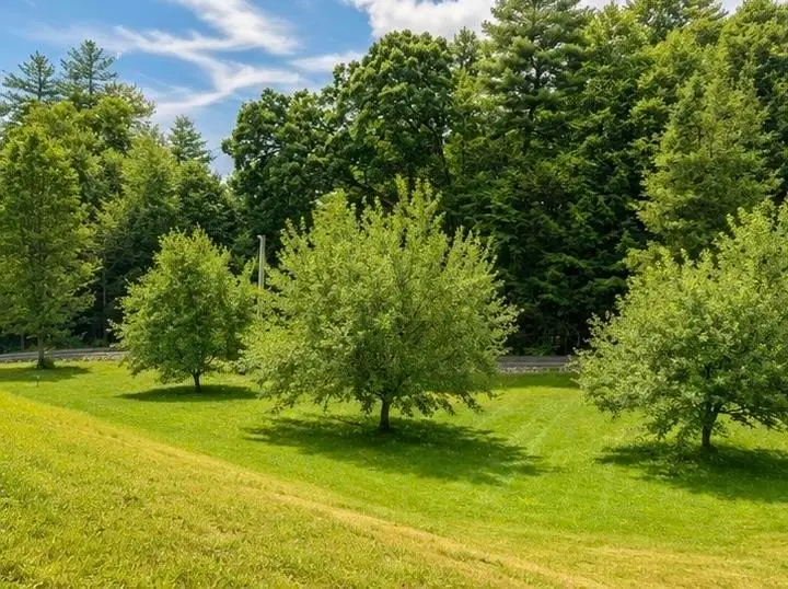 108 Hutchins Road, West Chesterfield, NH 03466 - #3
