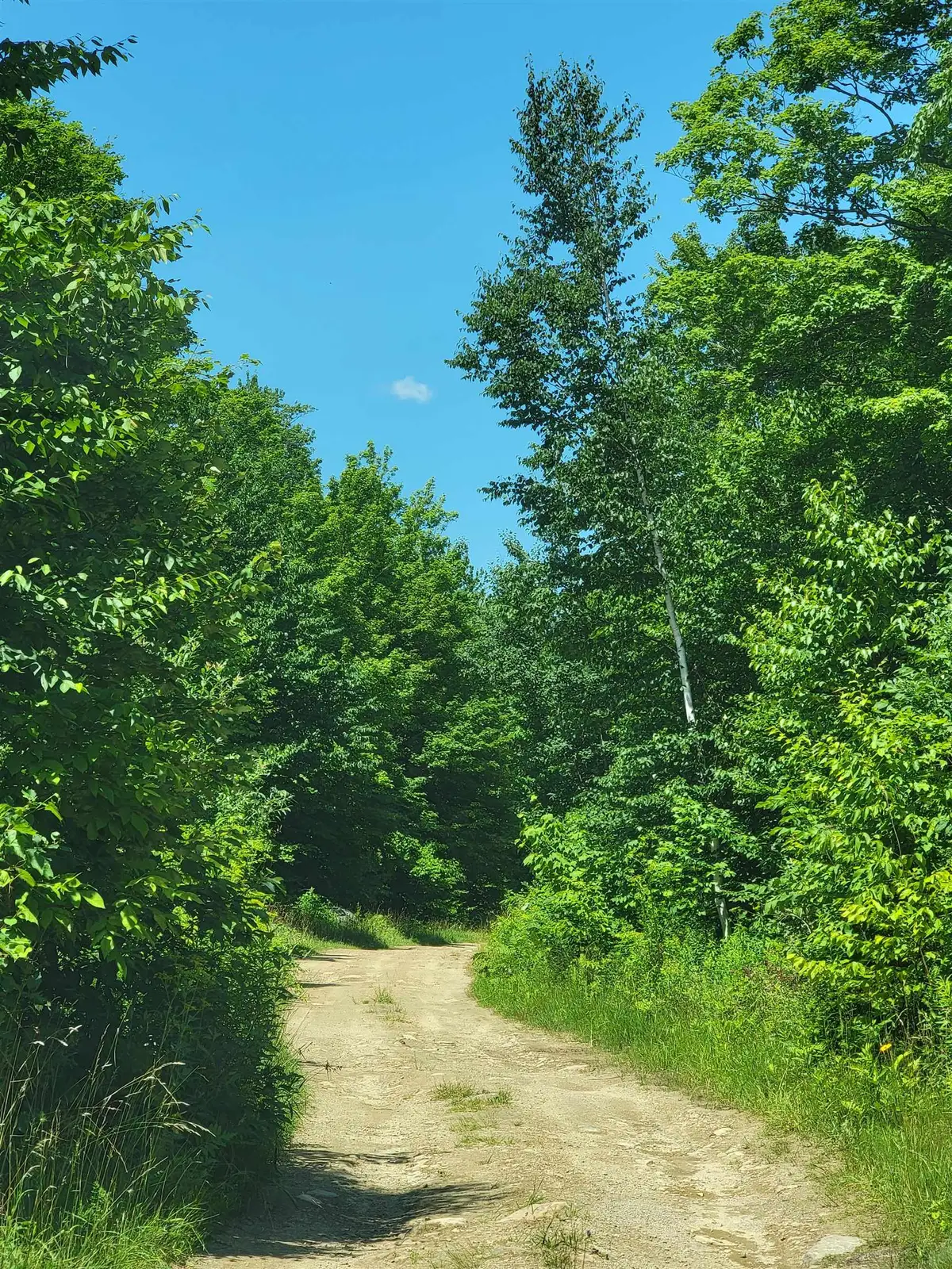0 Old Gale Hill Road, Shaftsbury, VT 05262 - #1