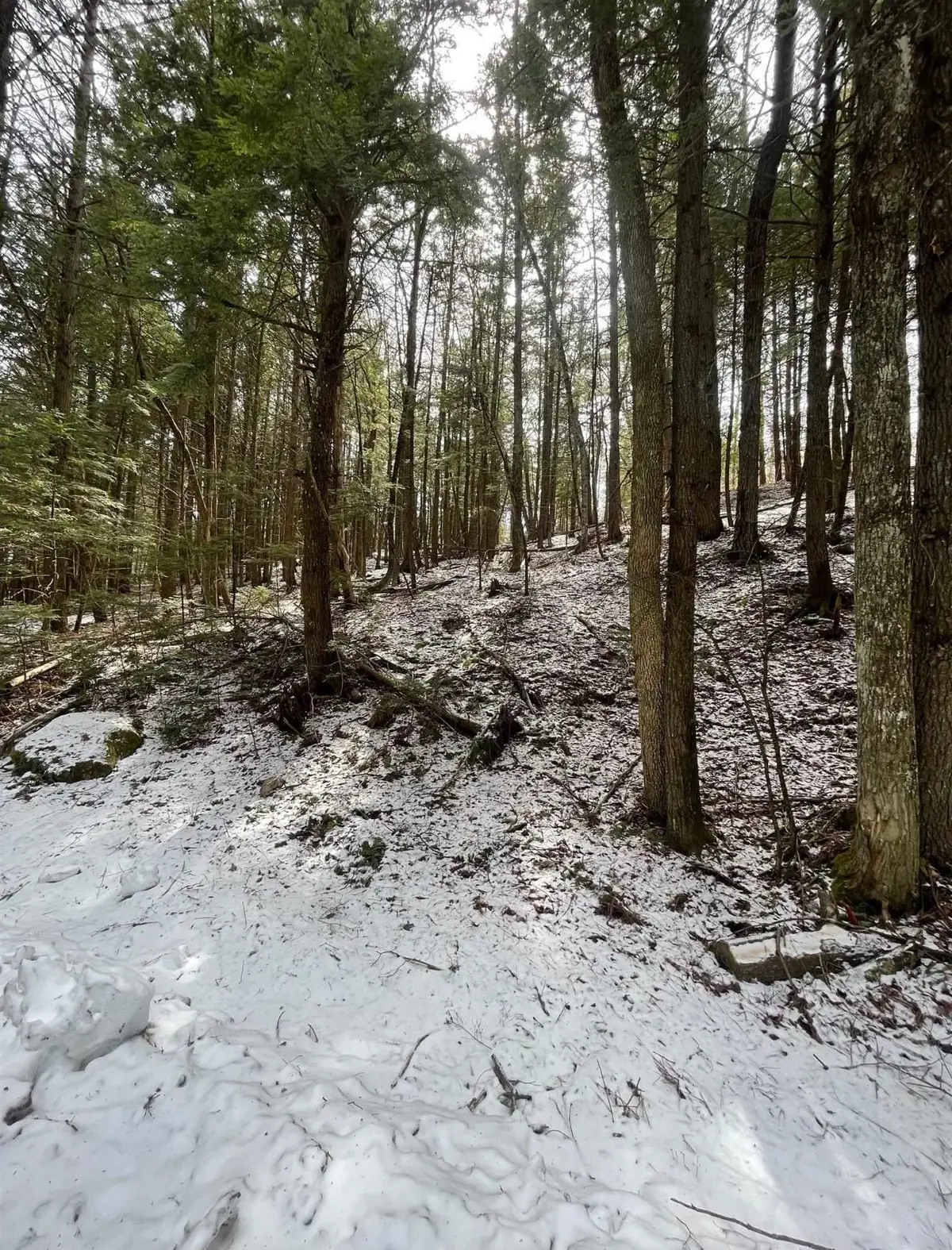 000 Hinkley Brook Road, Grafton, VT 05146 - #1