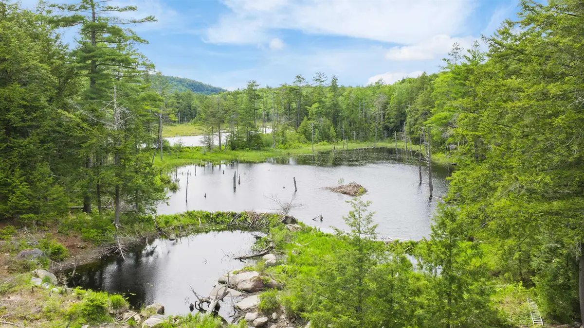 00 Pine Point Road, New Durham, NH 03855 - #1